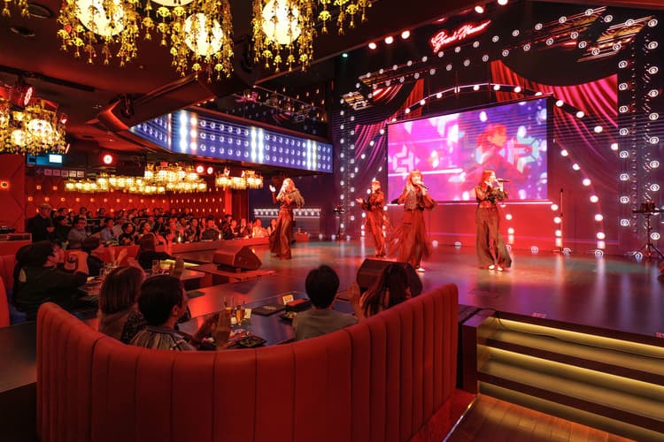 エンタメショーレストランのスタッフ募集!華やかなショーを、コースやビュッフェで演出!の画像3